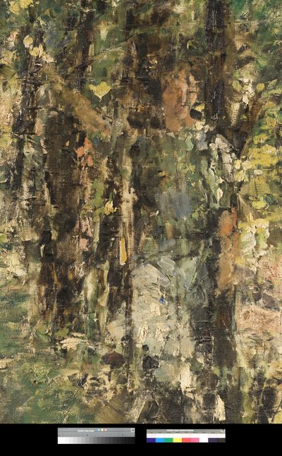 Heijastuksia, 1918-20 tekijältä Antonio Mancini