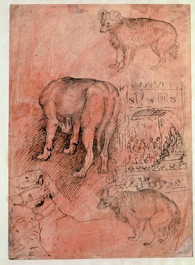 Koiran opinnot. Aulic jakso. Piirustus Antonio Pisano dit il Pisanello (1380-1455) tekijältä Antonio Pisanello