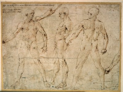 Kolme alaston miestä. Piirustus Antonio Pollaiuolo (Pollaiolo) (1432-1498) tekijältä Antonio Pollaiuolo