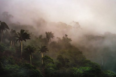 Corcovado XIX, 2020 (digitaalinen kuva) tekijältä Antonio Schubert