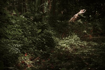 Valo ja varjot, 2025 (digitaalinen valokuvaus) tekijältä Antonio Schubert