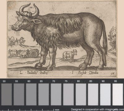 Buffalo L Bubalus Indicus/ I Bufola Dindia (otsikko esineessä) Dieren en fablewezens (sarjan nimi) Uusi kokoelma maailman uteliaimpia eläimiä (sarjan nimi) tekijältä Antonio Tempesta