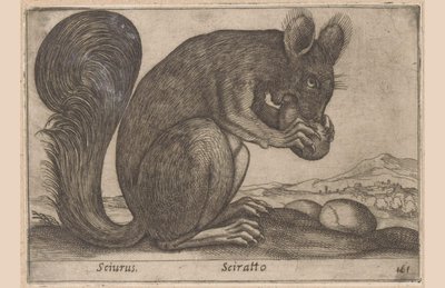 Ekhorn Sciurus/ Sciratto (otsikko esineessä) Dieren en fabelwezens (sarjan nimi) Uusi utelias pieni eläin maailmassa (sarjan nimi) tekijältä Antonio Tempesta