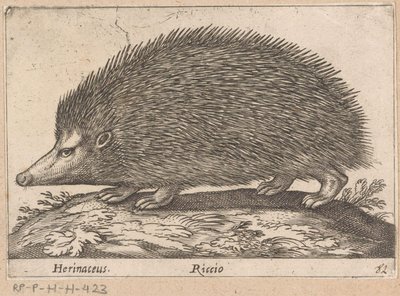 egel Herinaceus/ Riccio (otsikko esineessä) Dieren en fabelwezens (sarjan nimi) Nova raccolta de li animali piu curiosi del mondo (sarjan nimi) tekijältä Antonio Tempesta