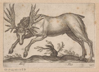 Eland Hirvi/ Hirvi (otsikko esineessä) Dieren en fablewezens (sarjan nimi) Uusi kokoelma maailman uteliaimpia eläimiä (sarjan nimi) tekijältä Antonio Tempesta