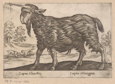 Vuohi yhdellä sarvella Capra Silvestris/ Capra Selvaggia (otsikko esineessä) Dieren en fablewezens (sarjan nimi) Uusi kokoelma maailman uteliaimpia eläimiä (sarjan nimi) tekijältä Antonio Tempesta