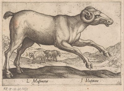 vuohimainen L Mussimonae/ I Musimone (otsikko esineessä) Dieren en fablewezens (sarjan nimi) Uusi kokoelma maailman uteliaimpia eläimiä (sarjan nimi) tekijältä Antonio Tempesta