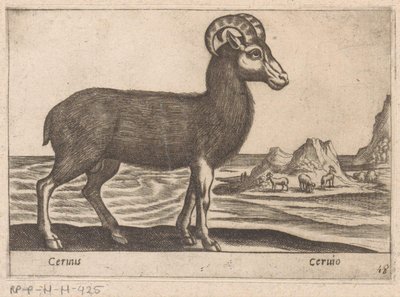 Jalokivet Cerinis / Ceruio (otsikko esineessä) Dieren en fabelwezens (sarjan nimi) Nova-kokoelma maailman uteliaimpia eläimiä (sarjan nimi) tekijältä Antonio Tempesta