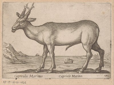 Hert Capreulus Marinus/ Capriolo Marino (otsikko esineessä) Dieren en fablewezens (sarjan nimi) Uusi kokoelma maailman uteliaimpia eläimiä (sarjan nimi) tekijältä Antonio Tempesta