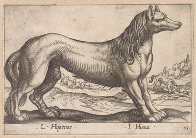 hyeena L Hijanae/ I Hyena (otsikko esineessä) Dieren en fabelwezens (sarjan nimi) Nova raccolta de li animali piu curiosi del mondo (sarjan nimi) tekijältä Antonio Tempesta