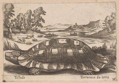 Landschildpad Testudo/ Ground kilpikonna (otsikko esineessä) Dieren en fabelwezens (sarjan nimi) Uusi kokoelma maailman uteliaimpia eläimiä (sarjan nimi) tekijältä Antonio Tempesta