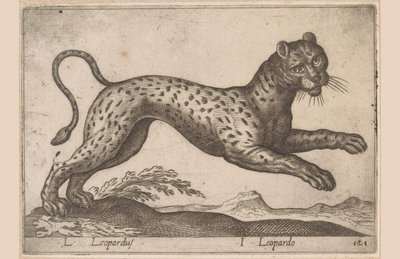 Leopardi L Leopardus/ I Leopardo (otsikko esineessä) Dieren en fablewezens (sarjan nimi) Uusi kokoelma maailman uteliaimpia eläimiä (sarjan nimi) tekijältä Antonio Tempesta