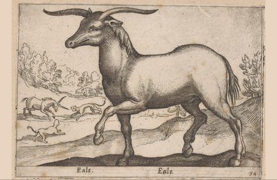 Hevonen sarvet Eale/Eale (otsikko esineessä) Eläimet ja myyttiset olennot (sarjan nimi) Nova raccolta de li animali piu curiosi del mondo (sarjan nimi) tekijältä Antonio Tempesta
