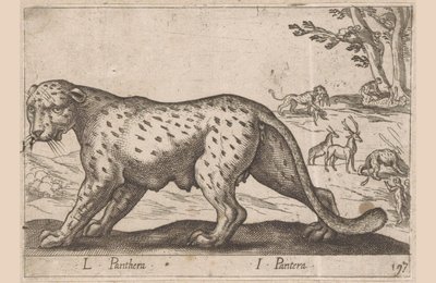 Pantteri L Panthera/ I Panthera (otsikko esineessä) Dieren en fablewezens (sarjan nimi) Uusi kokoelma maailman uteliaimpia eläimiä (sarjan nimi) tekijältä Antonio Tempesta