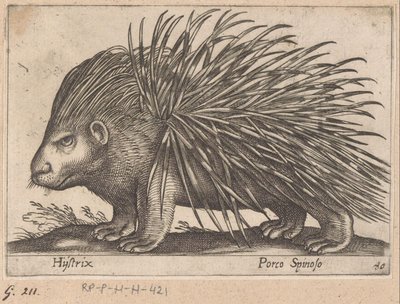 Piikkisika Hijstrix/ Porco Spinoso (otsikko esineessä) Eläimet ja myyttiset olennot (sarjan nimi) Nova raccolta de li animali piu curiosi del mondo (sarjan nimi) tekijältä Antonio Tempesta