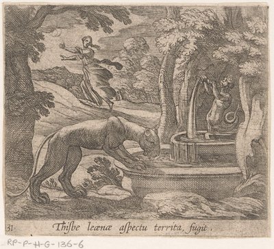 Thisbe vlucht voor the leeuwin by the bron Tämä on aluefugitin osa (otsikko esineessä) Metamorphosis and Transformation (sarjan nimi) The Metamorphoses of Ovid (sarjan nimi) tekijältä Antonio Tempesta