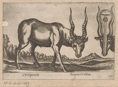 Kaksi antilooppia Striciperote/kreetalainen karja (otsikko esineessä) Dieren en fablewezens (sarjan nimi) Nova raccolta de li animali piu curiosi del mondo (sarjan nimi) tekijältä Antonio Tempesta