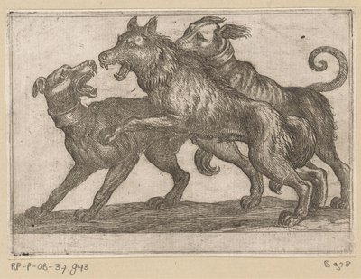 Kaksi koiraa taistelevat suden kanssa Fighting Animals (sarjan nimi) tekijältä Antonio Tempesta