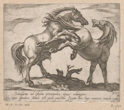 Twee parende paarden Paarden uit verschiedelden landen (sarjan nimi) Näiden johtajien kanssa sinua juhlitaan johtajana, jolla on viroru suu. tekijältä Antonio Tempesta