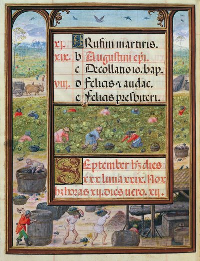 Syyskuu, miniatyyrejä teoksesta "Dom Manuelin tuntikirja", 1517-38 (tempera vellum) tekijältä Antonio de Hollanda