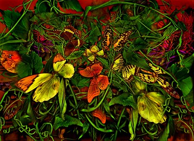 Anderswelt no.102-1, 2025 (kuva) tekijältä Antonius Antonius