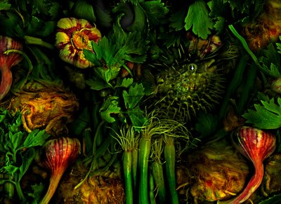 Muut maailmat nro 20, 2017 (kuva) tekijältä Antonius Antonius