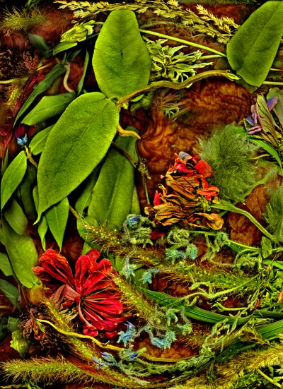 Toiset maailmat nro 2, 2025 (kuva) tekijältä Antonius Antonius