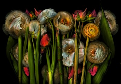 Earthart flora no.3, 2024 (kuva) tekijältä Antonius Antonius