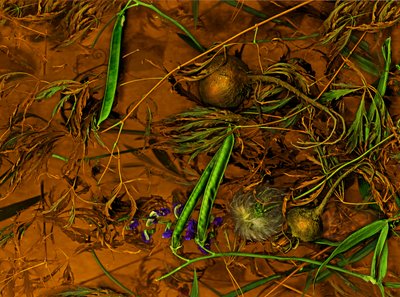 Earthart no.2, 2014 (kuva) tekijältä Antonius Antonius