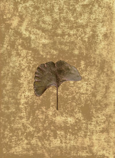 Ginkgo 3 tekijältä Antonius Antonius