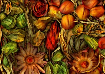 Taikapuutarha-Jungle 3, 2013 (kuva) tekijältä Antonius Antonius