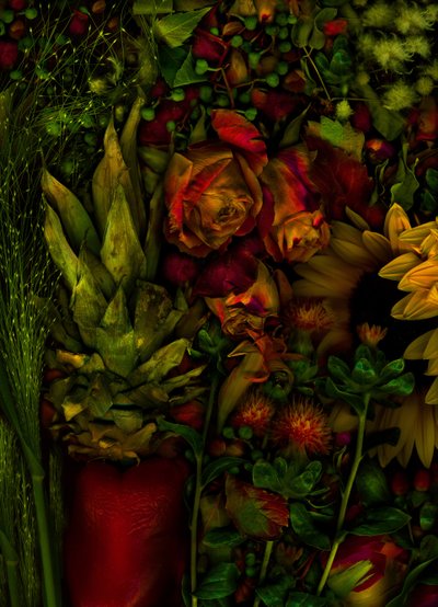 Taikapuutarha nro 26, 2011 (kuva) tekijältä Antonius Antonius