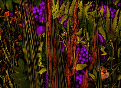 Taikapuutarha nro 39-3, 2019 (kuva) tekijältä Antonius Antonius