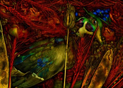 Taikapuutarha nro.76, 2012 (kuva) tekijältä Antonius Antonius