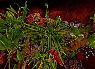 Still-life m 3, 2014 (kuva) tekijältä Antonius Antonius