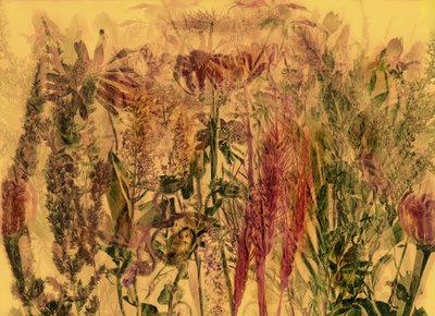 anderswelt 92 tekijältä Antonius Antonius