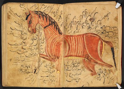Hevonen, "Kitāb al-bayṭarah", kirjoittaja Azdī, Aḥmad ibn ʿAtīq tekijältä Arabic School