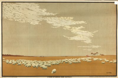 A Flock of Merino Sheep - Australia, sarjasta "Australian Wealth of Wheat and Wool" (väri litho) tekijältä Archibald Bertram Webb