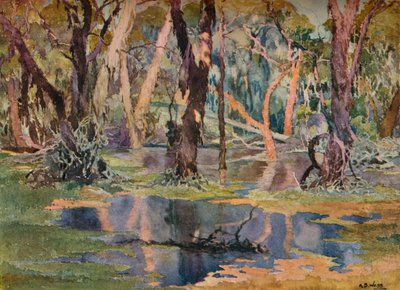 "Quindanning Pool", vuodelta 1927 tekijältä Archibald Bertram Webb