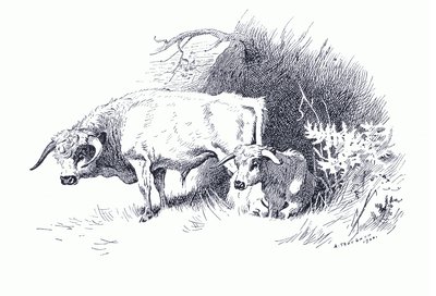 Nauta, Longmans and Co:n julkaisemasta Thorburn