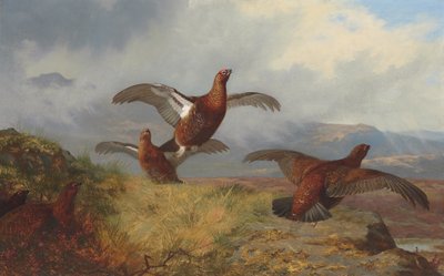 Teeri lennossa tekijältä Archibald Thorburn