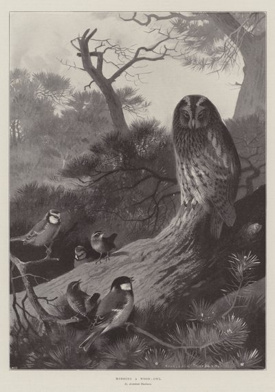 Metsapöllön ryöstäminen tekijältä Archibald Thorburn