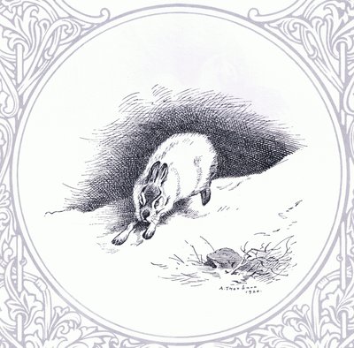 Mountain Hare, pubi. kirjoittanut Book Club Associates tekijältä Archibald Thorburn