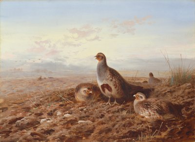 Partridges Sängen joukossa tekijältä Archibald Thorburn
