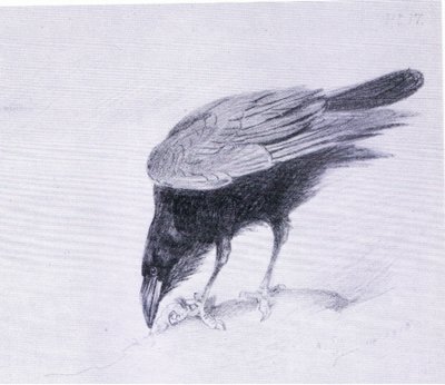 Raven, pubi. kirjoittanut Book Club Associates tekijältä Archibald Thorburn