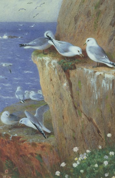 Lokit tekijältä Archibald Thorburn