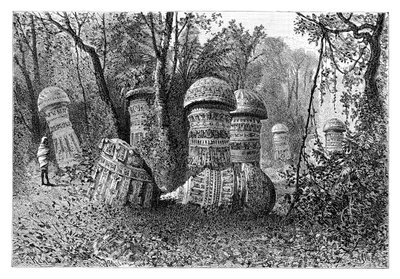Ahomin temppelin rauniot, Dinajpur, Ylä-Assam, Intia, 1895. tekijältä Armand Kohl