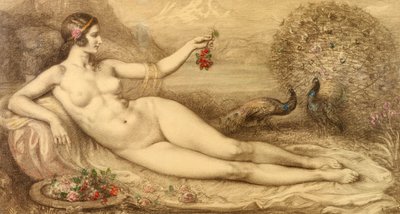 Juno tekijältä Armand Point