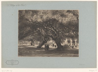 Tammet Cimiezin kirkossa Les Chênes verts de Cimiés, Nizza (otsikko esineessä) Kyliä ja metsiä maisemia (sarjan nimi) Le village et les bois (sarjan nimi esineellä) tekijältä Armand Theophile Cassagne