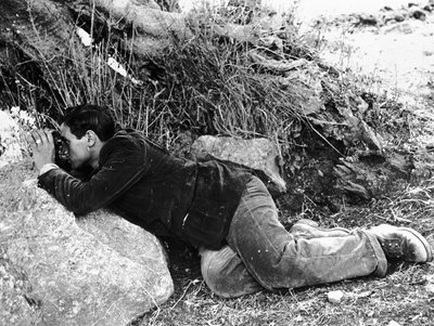 Salvatore Giuliano piiloutumassa pensaikkoihin, 1937 tekijältä Armando Bruni
